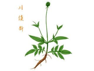 跨年后的句子_跨年的句子说说