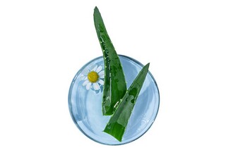 霜降时节的祝福语_霜降节气的祝福语