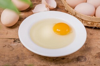 活跃青春寄语（寄语青春的句子）