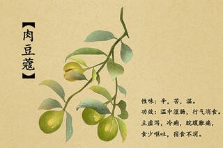 二年级数学《可能性》优秀说课稿设计_二年级可能性教案