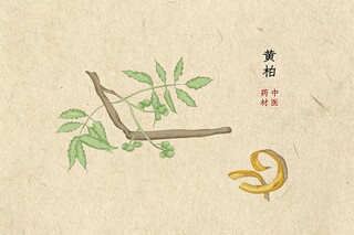 有诗意的句子_生活富有诗意的句子